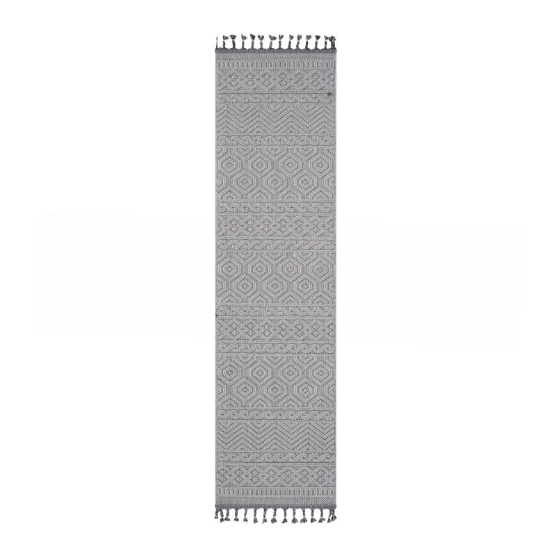 Tapis intérieur / extérieur 4X6, Tapis de couloir 2 pi 2 po x 8 pi