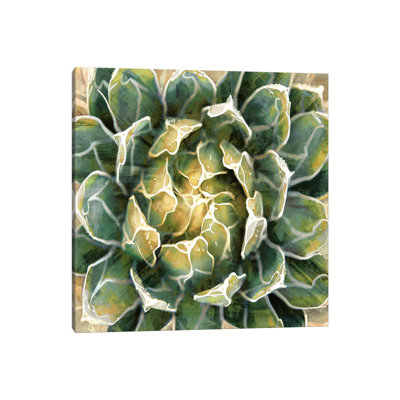 Succulent III by Lindsay Benson - Wrapped Canvas Print