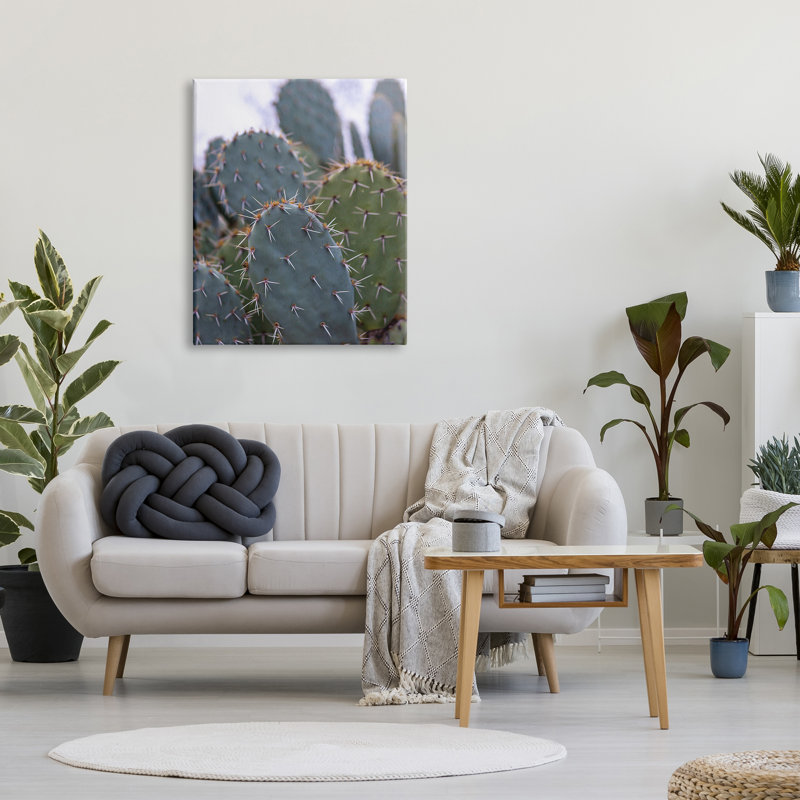 «Prickly Cactus Thorns» par Jeff Poe, reproduction d'art sur toile tendue, H 40 po x l 30 po x P 1,5 po