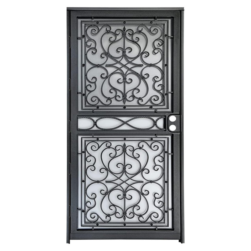 Porte de sécurité en acier gris de luxe Grisham, porte de tempête en fer 36 x 80 pouces, Noir
