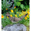 Statuette de jardin Roadrunner-126677588