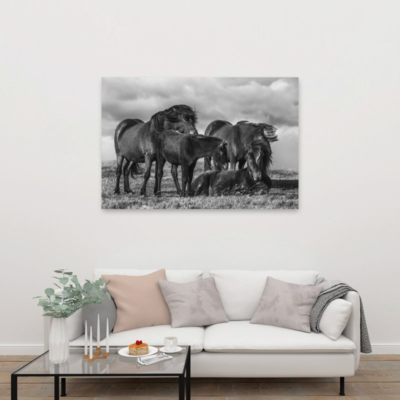 Majestic Wild Horses Dramatic Peaceful Serene Horse Nature Portrait Wall Art Print 1 Piece Wrapped Canvas Wall Art