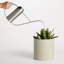 Li'l Dripdrop Watering Can