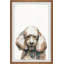 « happy caniche » par parvez taj,-impression sur papier-1301248908