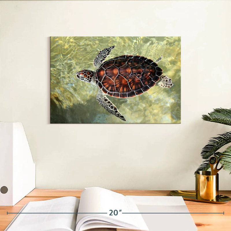 Cayman Turtle, 8" H x 12" W