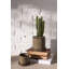 Tyron Ceramic Pot Planter-86761176-86761177
