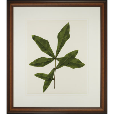 A Little Piece Of Nature III Print