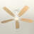 Karlena 52'' Modern Dimmable Ceiling Fan with Light and Remote 6-Speed APP Timer Reversible DC Motor