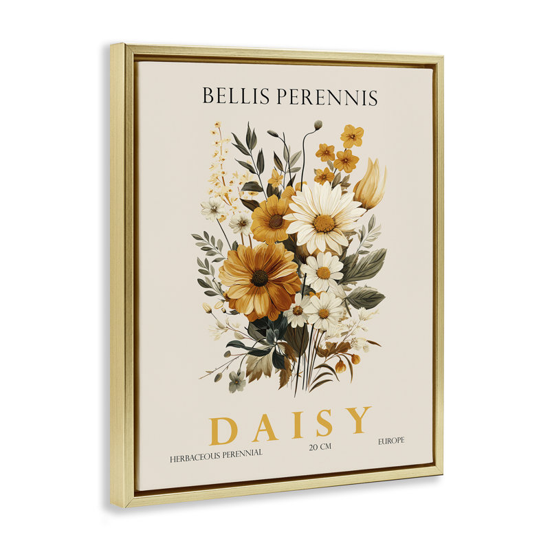 Cadre flottant Nature Daisy, par Christopher Giampietro, Cadre flottant métallique doré, H 31 po x l 25 po