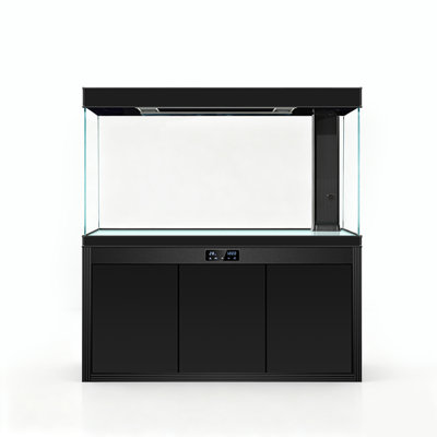Aquarium moderne en verre ultra-transparent et minimaliste