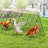 Floden Chicken Run-1187409459