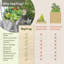 Jardinière surélevée en cèdre VegTrug-128967012-129533432