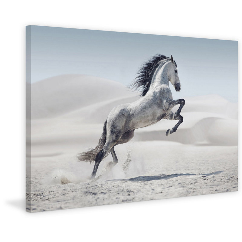 " White Majesty " by Marmont Hill, 12" H x 18" W x 1.5" D