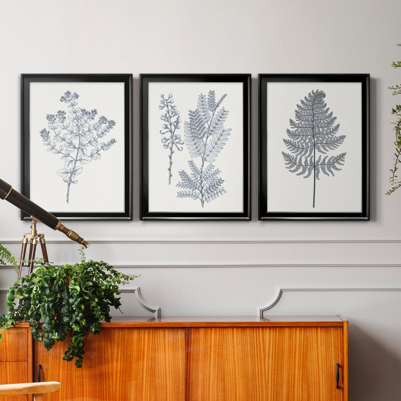 «Indigo Botany Study VI», ensemble de 3 reproductions d'art encadrées, Toile avec cadre noir