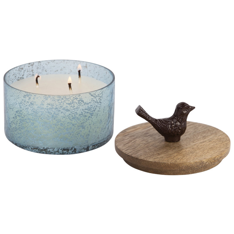 Citrus Scented Jar Candle with Glass Holder