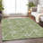 Premium Machine Washable Prisco Aloe Rug-711519839