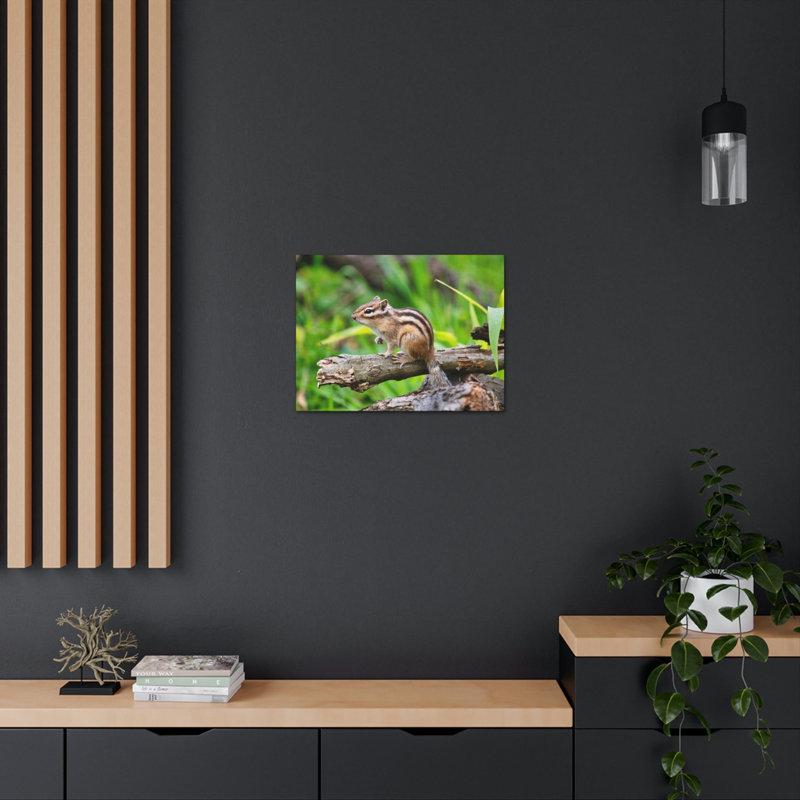 No Frame Print on Canvas, 11cm H x 14cm W