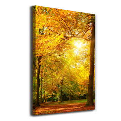 Autumn Forest - Wrapped Canvas Print