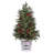3' LED Potted Berry And Mix  Greens Tree