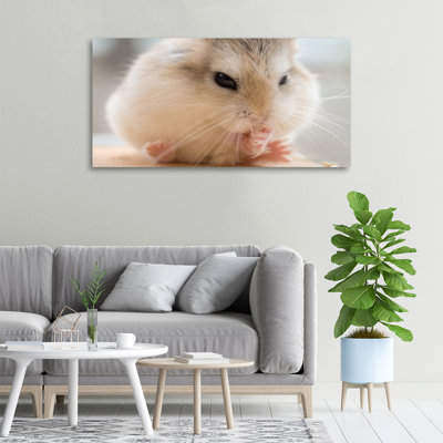 Hamster - No Frame Print on Canvas