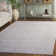 Kinde Performance Oriental Rug