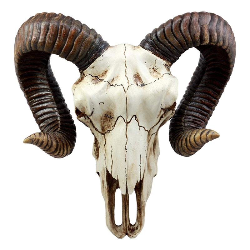 Décoration murale en bighorn de crâne