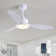 42''/52'' Standard Dimmable Ceiling Fan With Light Kit
