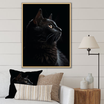 Portrait d'un chat noir, photographie