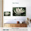 Harnek Magnolias-108964217
