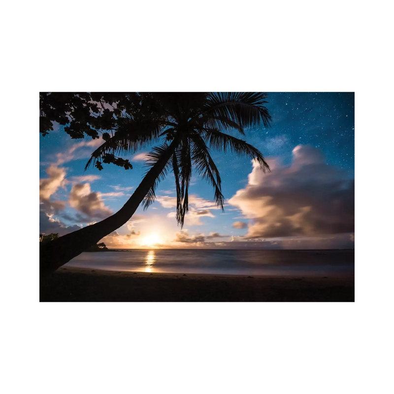 Paradise At Night by Lucas Moore - Wrapped Canvas Print, 66.04 cm H x 45.72 cm W x 1.91 cm D