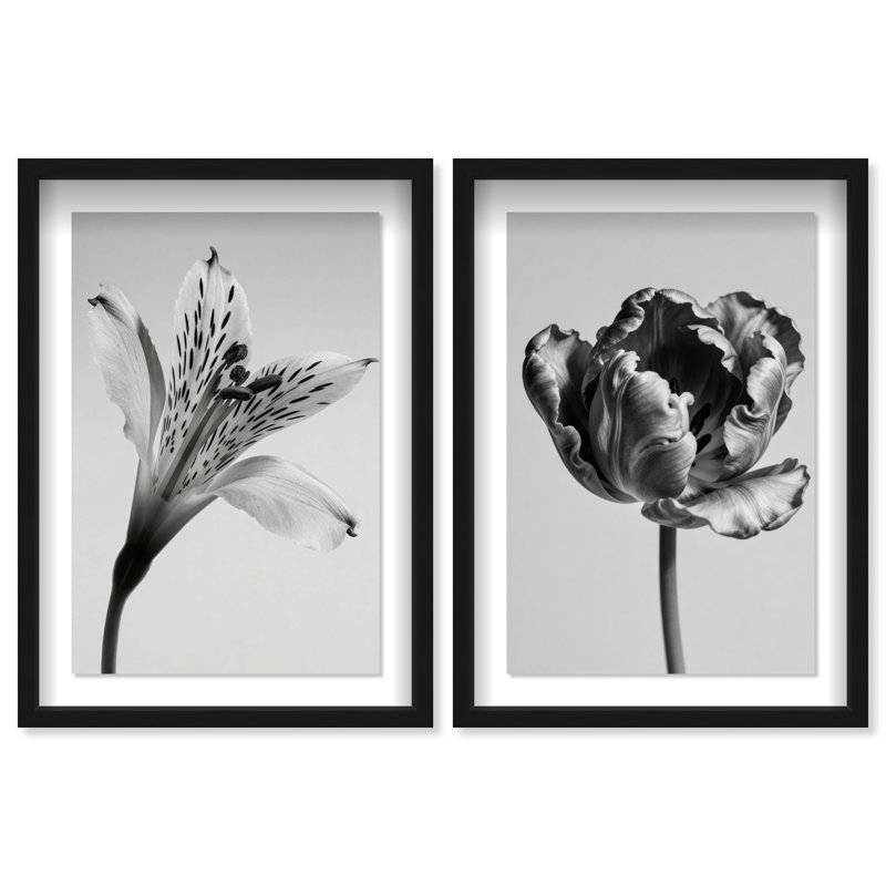 Peeking Flowers Set Shadowbox Floral & Botanical Print by Oliver Gal, Black Frame, 10 x 15, 31.5" H x 21.5" W