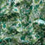 Tree Tops-1361213989