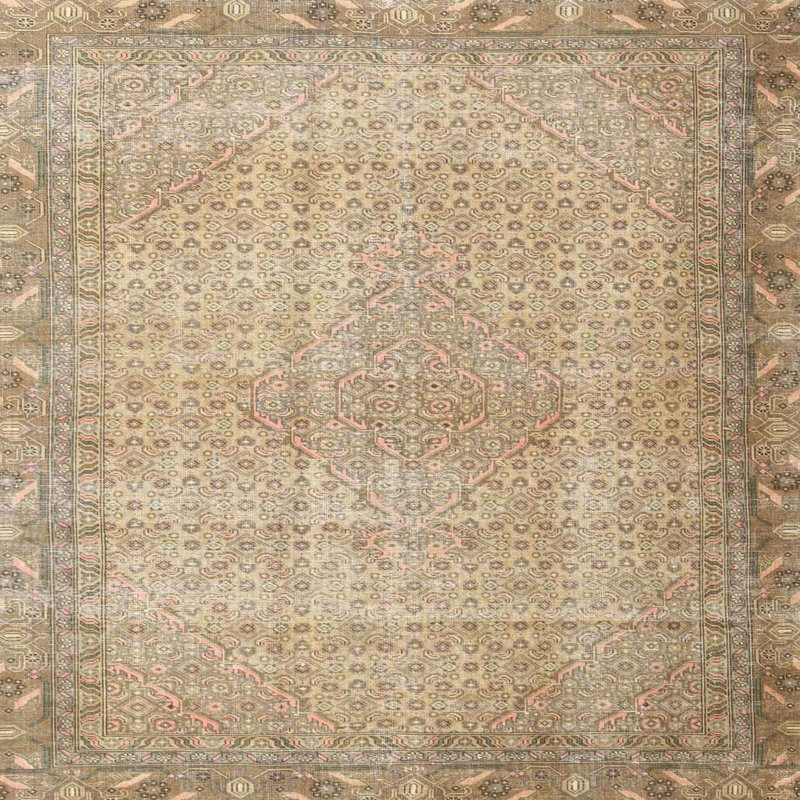 Oriental Indoor Rug, Square 8'