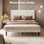 Upholstered Bed