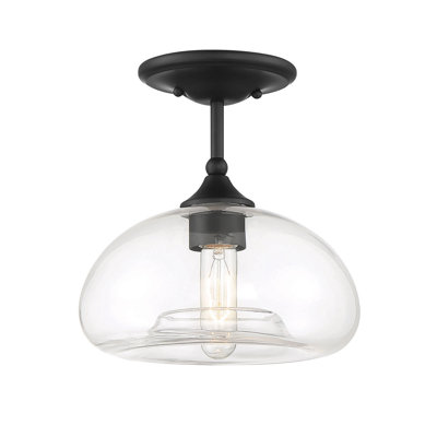 Lani 1-Light Ceiling Light in Matte Black