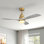Ventilateur de plafond moderne à 3 pales de 52 po avec télécommande et ensemble d'éclairage Nicola
