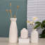 Ceramic / Porcelain Decorative Bottle