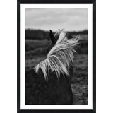 'Horse Back' Framed Photographic Print