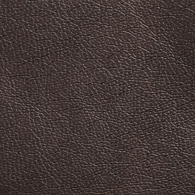 Emu lisse, Marron foncé