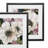 " Anemone Study " 2 - Pieces-27610094