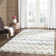Pheobe Performance Chevron Rug