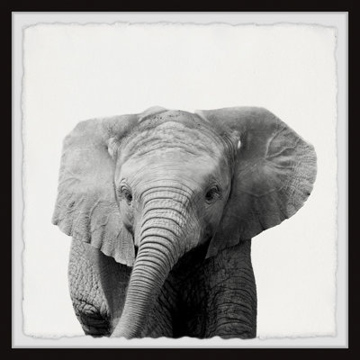 King Of The Elephants by Maria Giovanni - Single Picture Frame Print