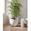 Pot Planter-504665349-504665355