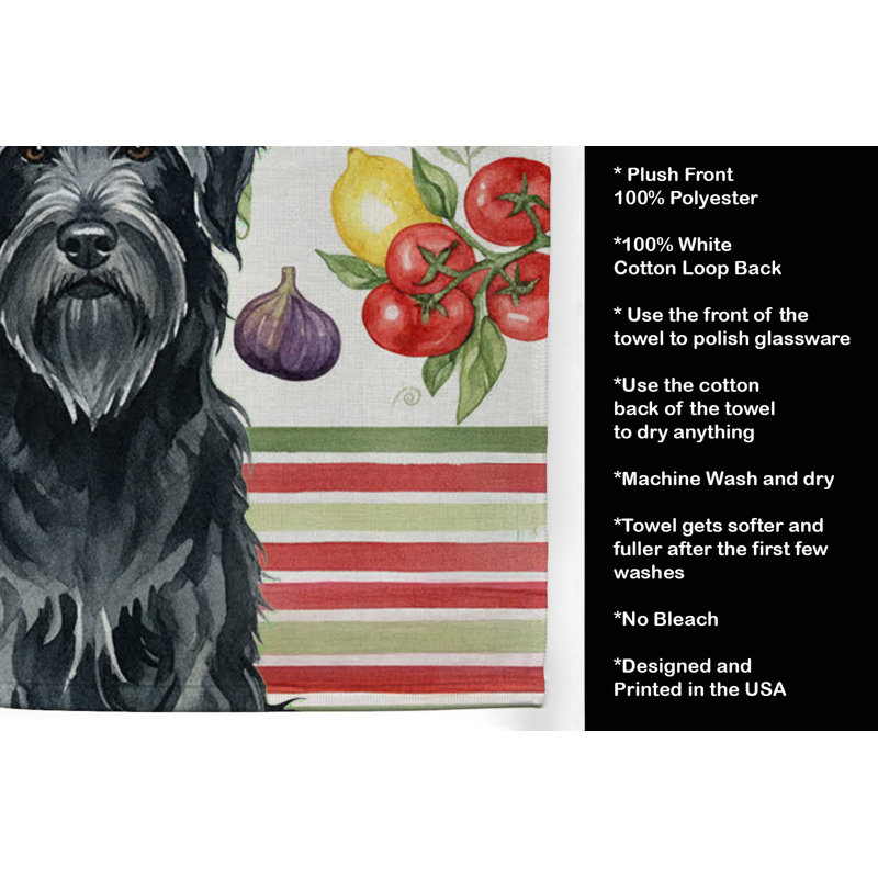 Torchon noir Briard, Black Briard