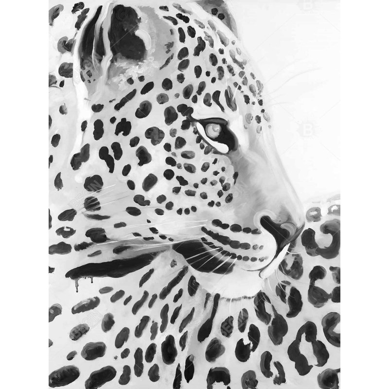 Beautiful Leopard Print On Canvas
