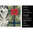 Gray and White Alaskan Malamute Christmas PoinsettIas Kitchen Towel-2080583776