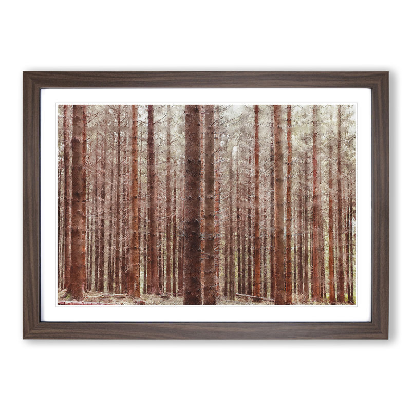 Autumn Forest Vol.7 - Picture Frame Graphic Art, 36cm H x 48cm W x 2cm D, Walnut Framed