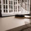 Standing Desk-1106464398