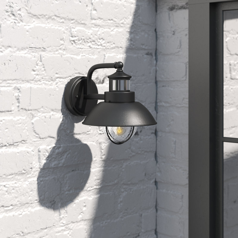 Emestine Steel Wall Light, 9" H x 8.25" W x 11" D, Textured Black