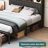 Alfrid Upholstered Bed-1962581792